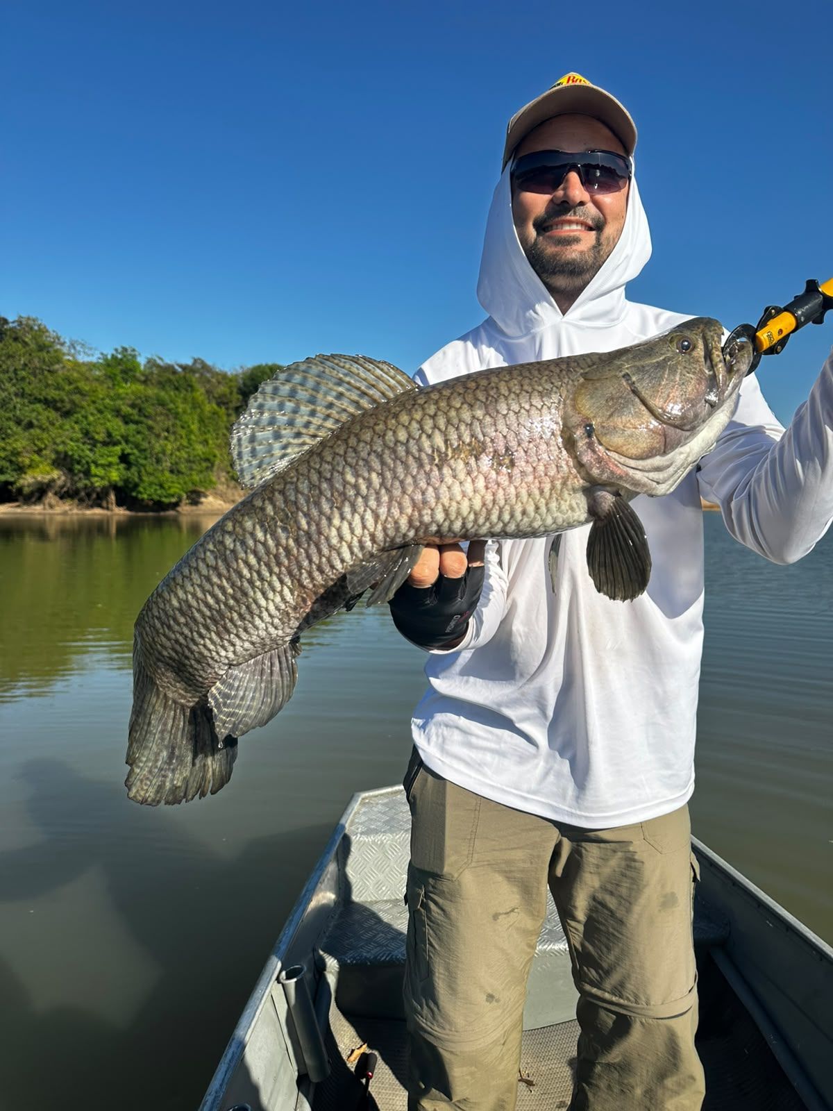 Angler on a boat holding a large trairão under a clear blue sky